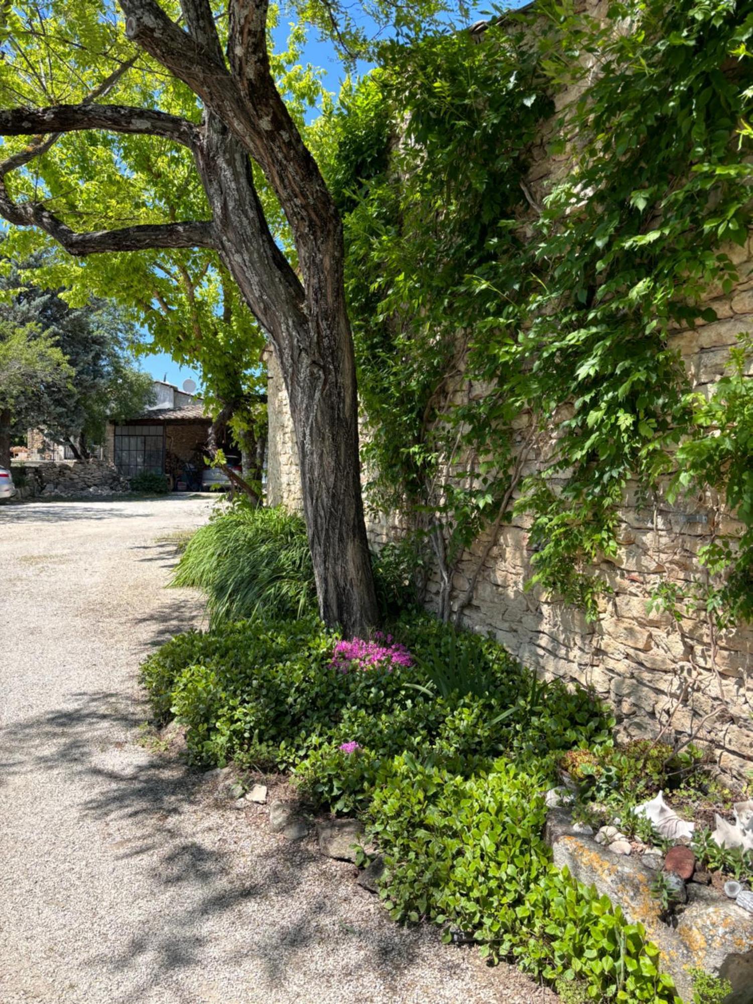 Apartment Les Juliens